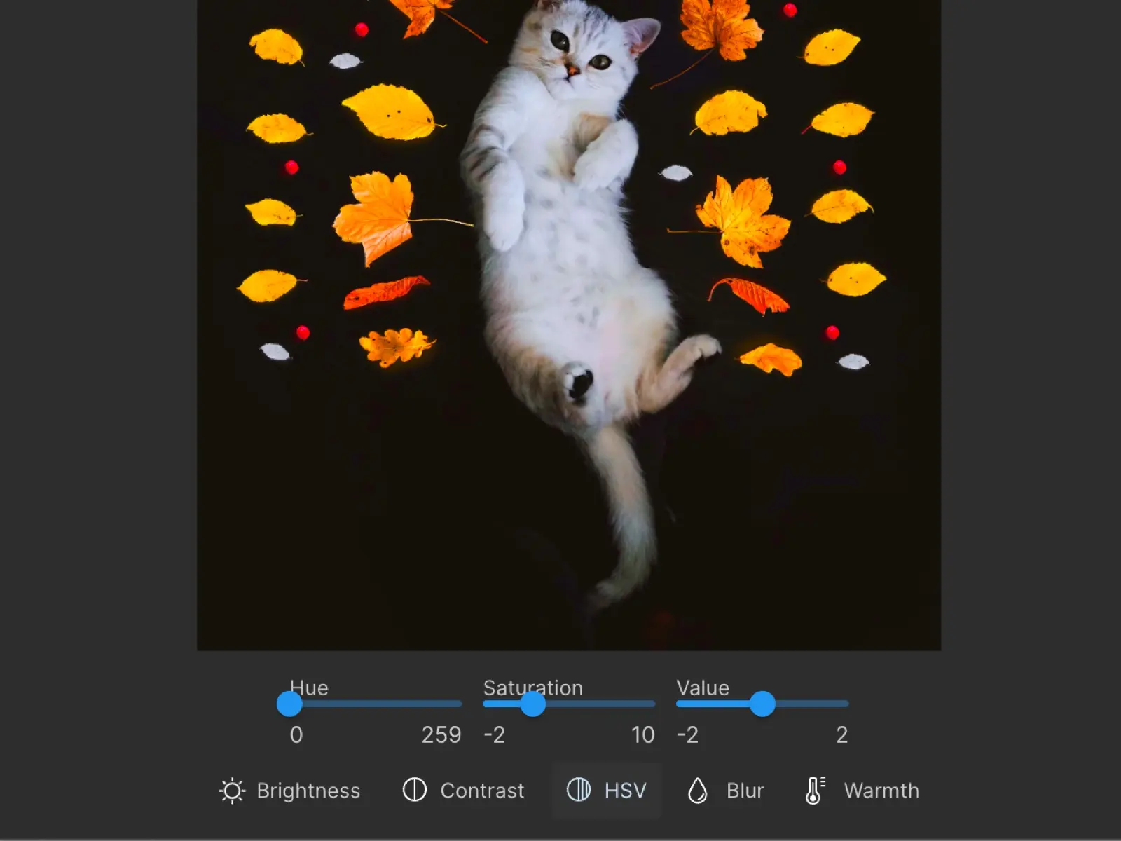 Fileter Image Filter - Web Image Editor